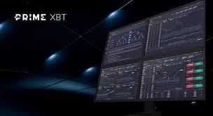 PrimeXBT vs Pocket Option Which Trading Platform is Right for You PrimeXBT vs Pocket Option Which Trading Platform is Right for You